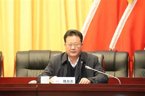 上海市区两级行政审批事项减时限实现59.8%、减材料实现50.5%_市政厅_新民网