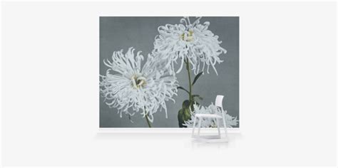 Image result for Sample Localization