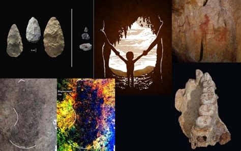 Human Origins Explained 的图像结果