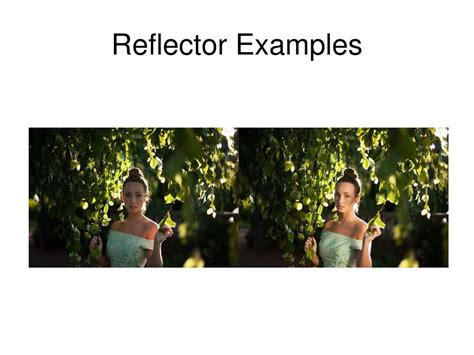 Image result for Reflector Tutorial