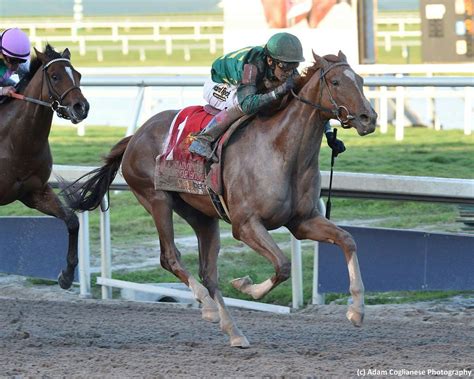 Hanson: A look at the Cross Country Pick 5 | TwinSpires