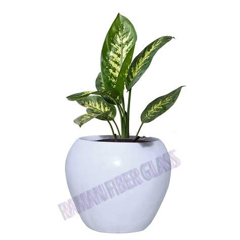 Raman Fiber glassⓇ Reinforced White Pots for Indoor Plants,Planters,FRP ...