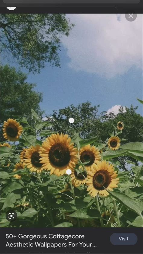 Cottage Core Wallpapers 🍄🍀🌸