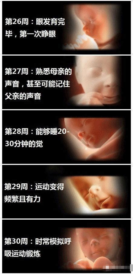 怀孕中晚期缺氧最常见，孕妇有3个表现代表胎儿不舒服|缺氧|胎儿|孕妇_新浪新闻