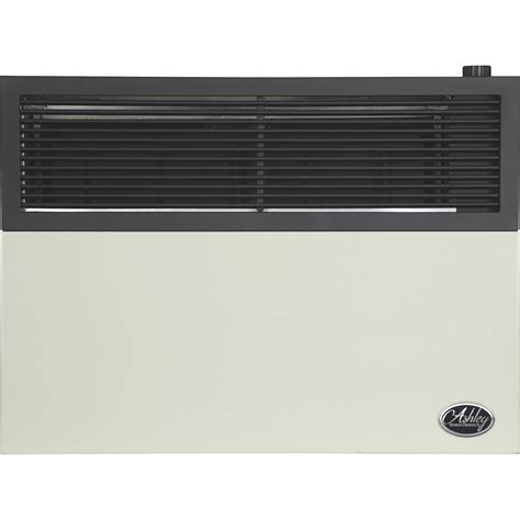 Ashley Hearth Direct Vent LP Wall Heater with Venting — 17,000 BTU ...