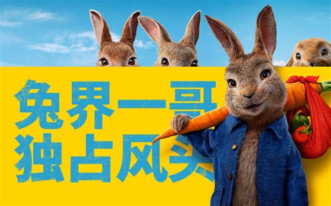 《比得兔2：逃跑计划》电影完整版免费在线观看-66影视