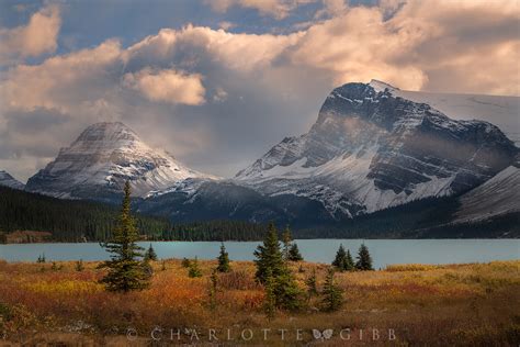 Environment Photography 的图像结果