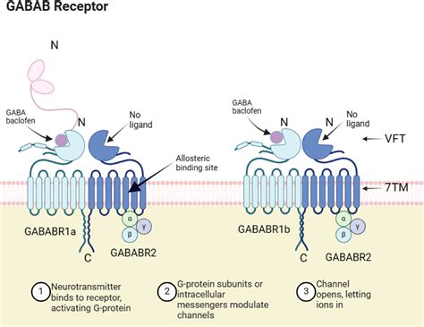 GABA and its receptors' mechanisms in the treatment of insomnia: Heliyon