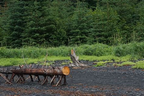 PLLC vs LLC 2025: Which is Better for Your Texas Business?