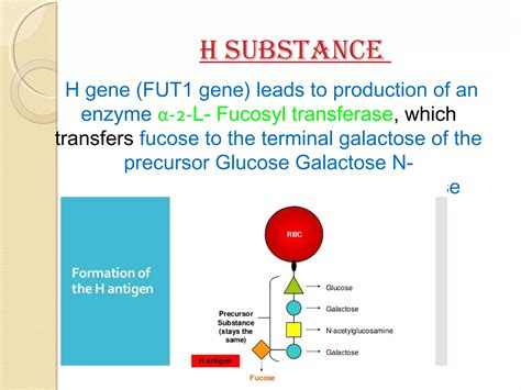 H Substance Structure