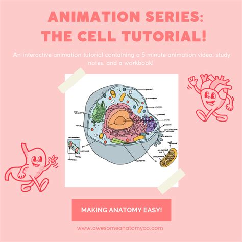 Algorithm Cell Animation 的图像结果