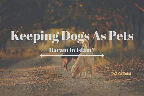 Is Keeping Cats Haram In Islam A Complete Guide To Islamic Law On Pets