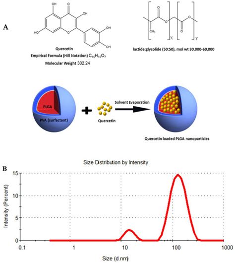 PLGA-Quercetin Nano-Formulation Inhibits Cancer Progression via ...