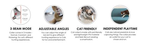 Cheerble Amusing Cat Collar | Buy Toys for Cat | PawsIndia – Pawsindia