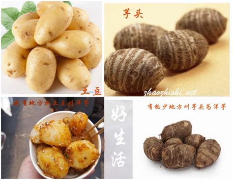 巫山“孔洋芋”，到重庆不得不吃的美味，在外巫山游子家的味道! - 知乎