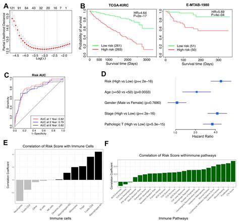 Distinct Tumor-Associated Macrophage Signatures Shape the Immune ...