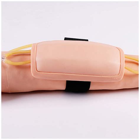 Buy ALBB IV Injection Practice Arm Model - IV Venipuncture Practice ...