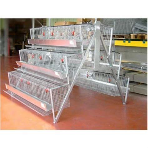 Poultry Cages - Gi Silver Poultry Cages Manufacturer from Ludhiana