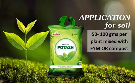 Prabhat Potash Liquid Bio Fertilizer for Plants, Nursery, Crops ...