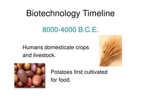 Drawing of the Progression of Biotechnology 的图像结果