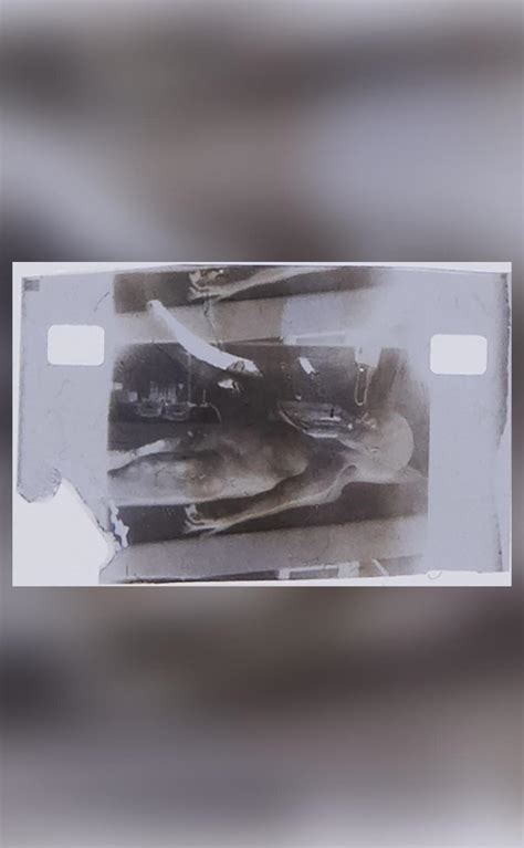 Image result for Alien Autopsy 1947 Video Gary Shoefield
