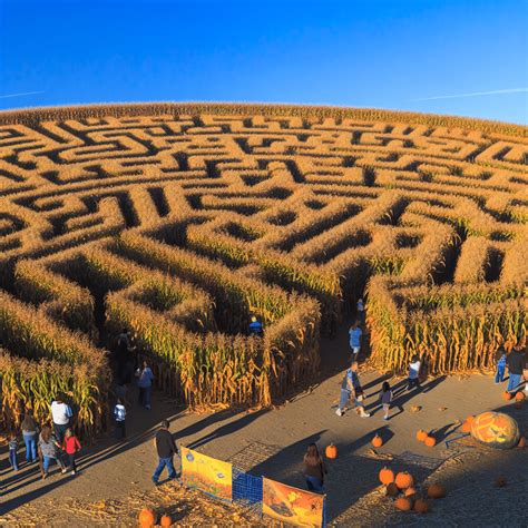 Hess Corn Maze