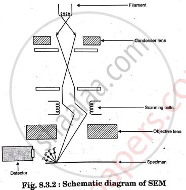 With a Neat Diagram Explain the Construction and Working of Scanning ...