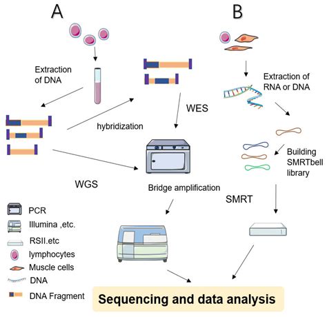Next-Generation Sequencing Technologies and Neurogenetic Diseases
