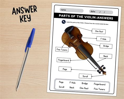 Printable Parts of the Violin Labeling Worksheets, With Answer Keys, Violin Diagram, Label the ...