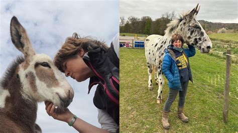 Meet Milton the 16hh spotted mule who’s ridden tackless, plays football ...