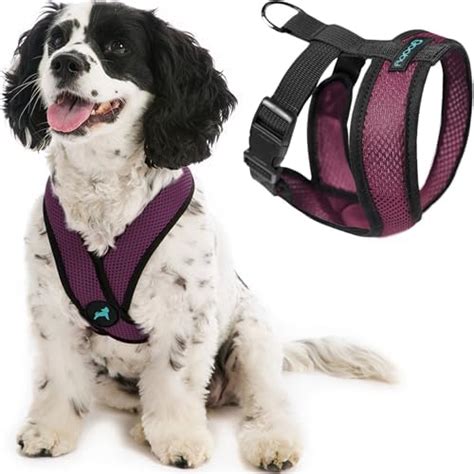Gooby Choke Free X Frame Soft Harness with Micro Suede Trimming for ...