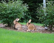 Image result for Wooden Bunnies