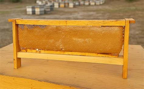 BEEMAN ORGANICA Honeycomb - 300 Grams- 100% Pure & Highly Nutrients ...