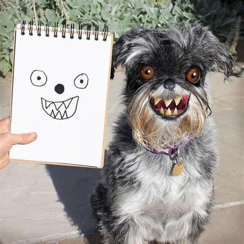 childrens animal drawings made real