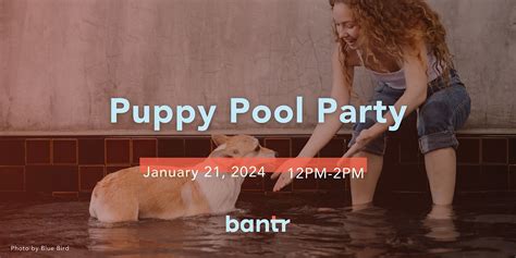 Puppy Pool Party, bantr, Rothschild, 21 January 2024 | AllEvents