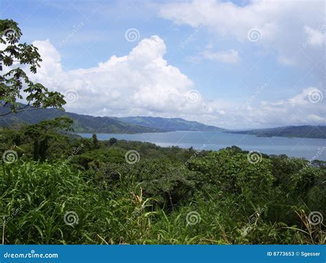 Lake Arenal, Costa Rica stock image. Image of sportfishing - 8773653