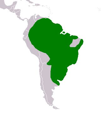 Image result for Rust Cod Map Real Life