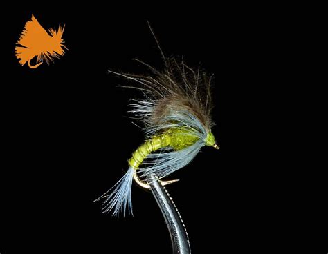 Image result for Emerger Fly Pattern