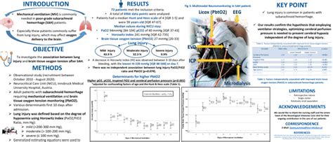 Image result for FiO2 PO2