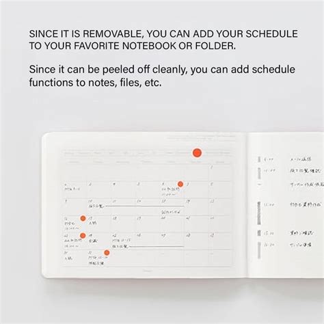 Stalogy Peelable calendar sticker M Month Landscape - SCOOBOO - Stalogy