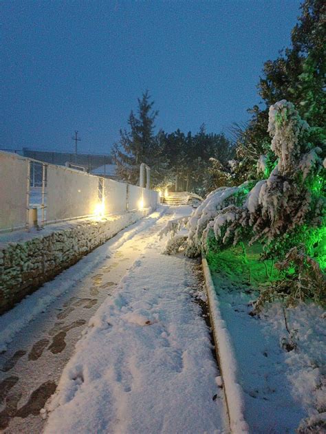 VILA DORULUI (Dubasari) - Hotel Reviews, Photos, Rate Comparison ...