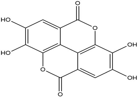 In Silico Exploration and Experimental Validation of Camellia sinensis ...