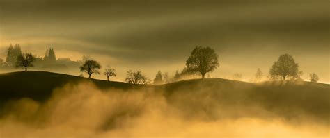 Download wallpaper 2560x1080 hills, trees, fog, mountains, nature dual ...