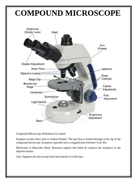 Microscope Terminology 的图像结果