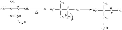 Draw the major organic product formed in the following reaction - Home ...