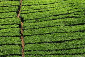 4 Days 3 Nights Munnar and Thekkady Waterfall Trip Package | Munnar ...