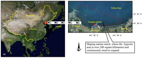 Experimental Study on the Performance of an Innovative Tide-Induced ...