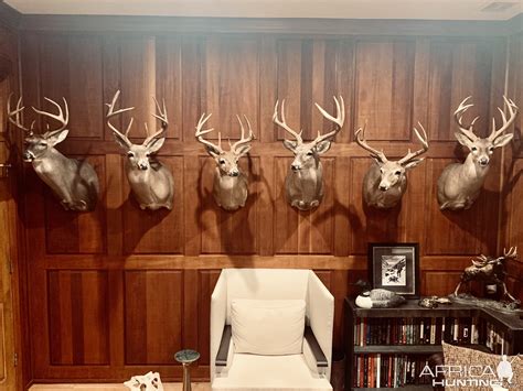 Whitetail Deer Shoulder Mounts Taxidermy | AfricaHunting.com