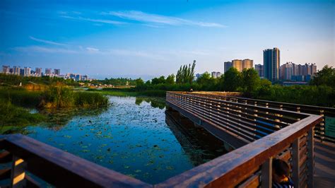 西安浐灞国家湿地公园湿地科普馆 - 中国自然保护区生物标本资源共享平台