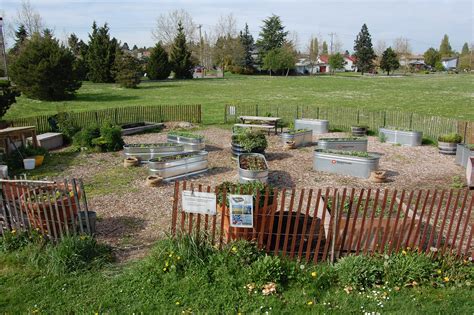 GrowTheGarden | Help Us Renovate the Rainier Community Center Garden!